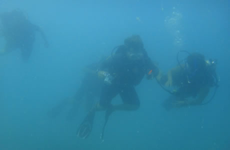 Dive In Key West - Marquesas Reef Line